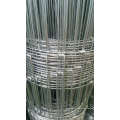 2x2 galvanized welded wire mesh for fence panel with high quality and low price